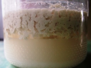 ココナツミルクを24時間置くと、下から、水分、オイル、ミルクのかす部分に分離する