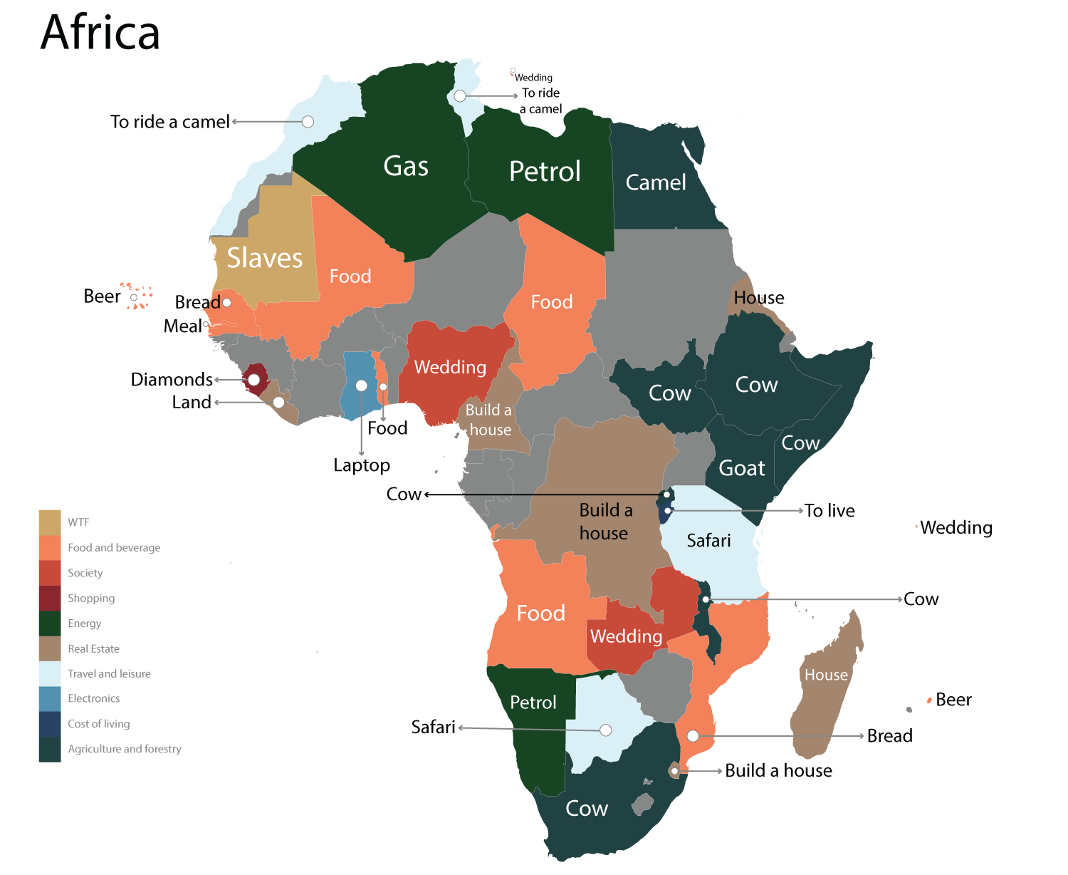 アフリカで「最もググられたこと」を示すマップ。ビジネスインサイダーから引用