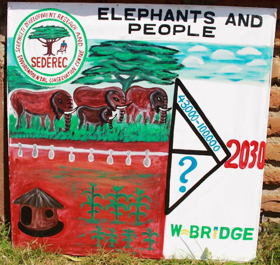 住民とゾウの共存に対して疑問を呈するポスター。タンザニアのNGO「SEDEREC」が作った。タンザニア政府が打ち出した2030年までにゾウの数を4万3000頭から10万頭に増やす目標が、イコマ地域の住民の生活をどう脅かすかを訴える