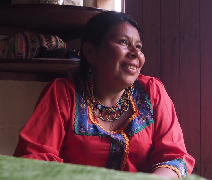 揺らぐコロンビア先住民のアイデンティティ、伝統文化を守るのは女性たち ganas 途上国・国際協力に特化したNPOメディア