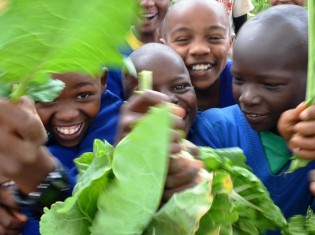学校菜園を楽しむ子どもたち。牛ふんから作った有機肥料を使ったり、化学合成農薬を減らしたりして野菜を栽培する（写真提供：NPO法人テーブルフォーツー）