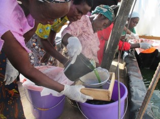 スピルリナを作るのは、ザンビアの農村の女性グループ。異物の混入がないかどうか品質を検査しているところ（提供：アライアンス・フォーラム財団）