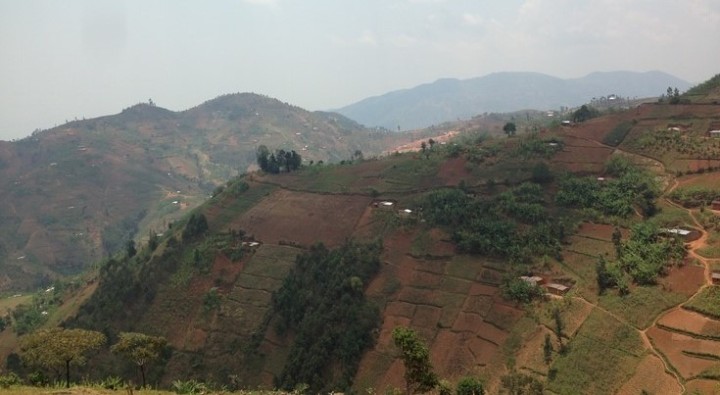 ブルンジは山の急斜面も農地として使うほど土地が足りない