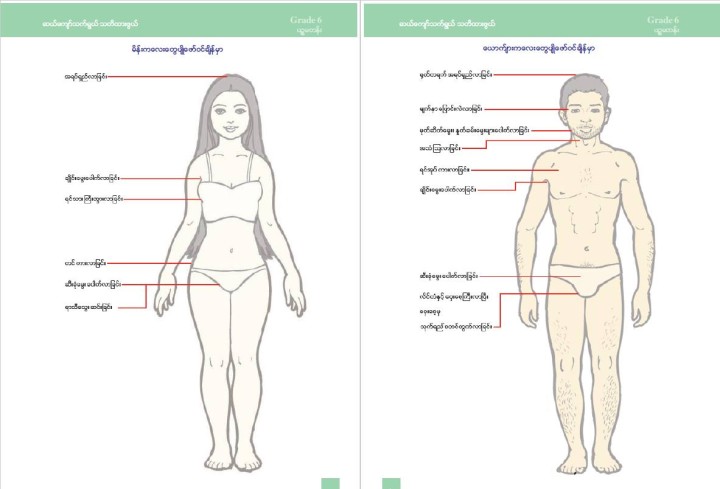 性教育は「ライフスキル」という科目の中で扱われる。6年生（11歳）の教科書は、第2次性徴について説明。きわどい部分は下着で隠す