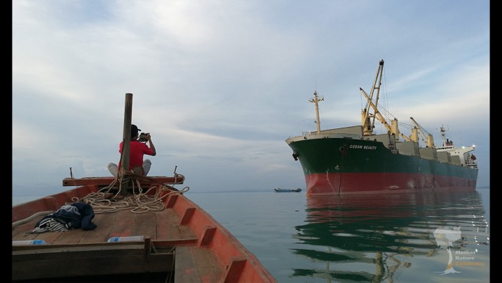 カンボジア沿岸地域で採った砂を輸出する大型船を撮影する、マザーネイチャーカンボジアの環境活動家。このメンバーは2018年、｢プライバシーの侵害｣と｢社会に不安をかき立てた｣罪で5カ月間投獄された（写真提供：アレハンドロ・ダビッドソンさん）