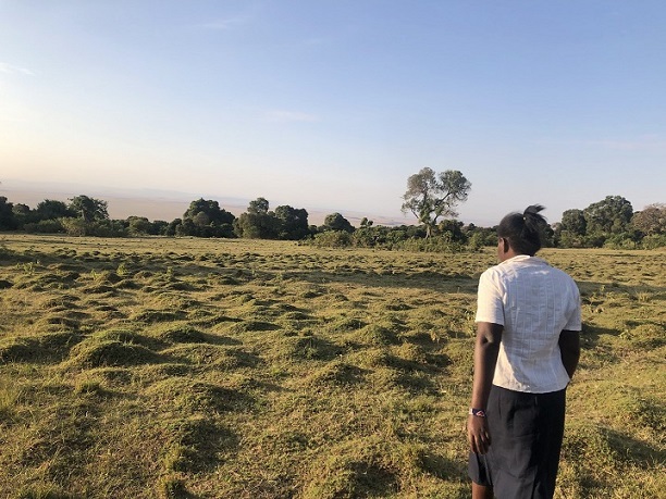 ケニア南西部にあるマサイマラ国立保護地区。キリンやシマウマ、ゾウがあちらこちらで見られる。ワンジャラさんに案内してもらった（7月21日、筆者撮影）