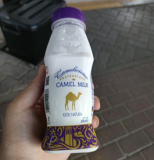 ドバイ市内のスーパーで売られるラクダミルク。味は少し甘くて油っぽい。のどごしはこってり