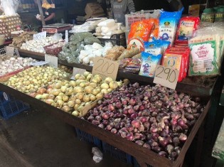 タルラック市の市場に並ぶタマネギ（1月24日朝撮影）。タマネギの値段はピークよりは少しずつ下がり始めた。1キログラム150～290ペソ（360～700円）。だが依然として高いままだ
